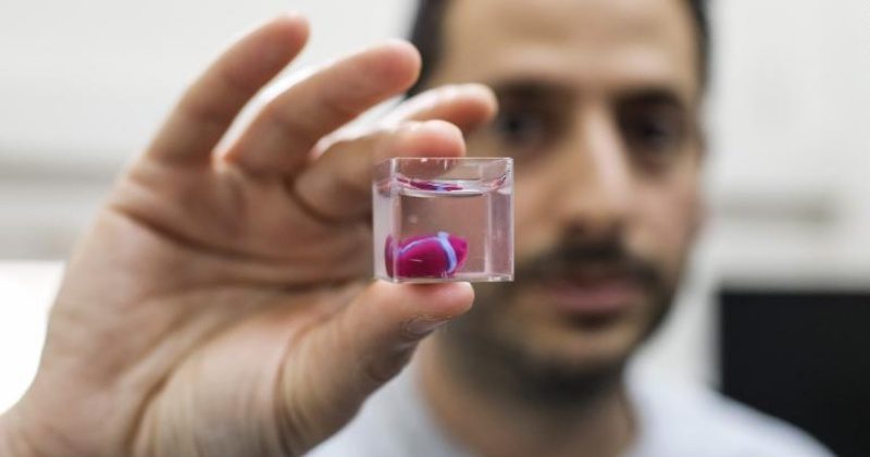 Qheronet El Primer Corazon Impreso En 3d Con Tejidos Humanos 1