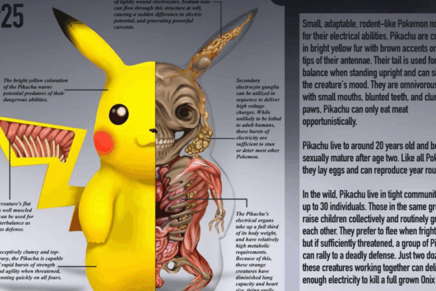 Pokenatomy explorando el Mundo Interno de los Pokémon